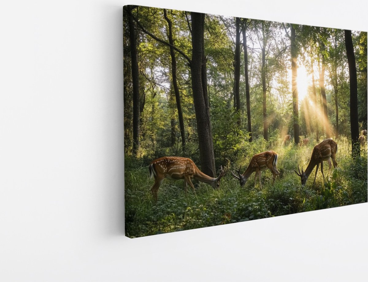 Saammp Canvas Schilderij - Natuur - 4 Herten in het bos - landschappen - 120x80 - Foto op canvas - Wanddecoratie - Muurdecoratie Woonkamer - Slaapkamer decoratie - Canvas Print Multicolor