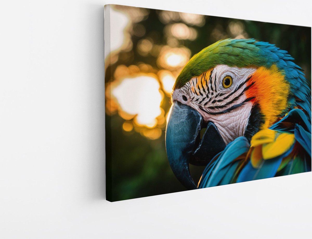 Saammp Canvas Schilderij - Papagaai - Kleurrijk - Natuur - Dieren - 90x60 - Foto op canvas - Wanddecoratie - Muurdecoratie Woonkamer - Slaapkamer decoratie - Canvas Print Multicolor