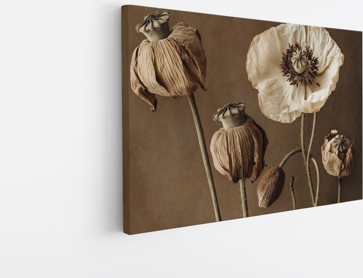 Saammp Canvas Schilderij - Sereniteit in de Natuur - Minimalistisch - 70x50 - Foto op canvas - Wanddecoratie - Muurdecoratie Woonkamer - Kantoor Decoratie Multicolor