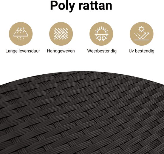 vidaXL-6-delige-Loungeset-met-kussens-poly-rattan-zwart