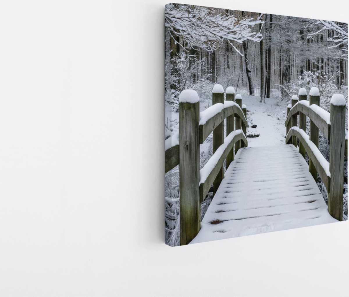Saammp Canvas Schilderij - Brug in de winter - Landschap - Natuur - 100x100 - Foto op canvas - Wanddecoratie - Muurdecoratie Woonkamer - Slaapkamer decoratie - Canvas Print Multicolor