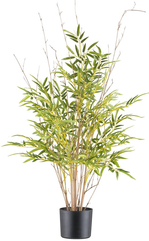 Plantes artificielles - plante artificielle - fleurs artificielles - bambou - plantes - plante artificielle - plantes artificielles pour l'intérieur - plante artificielle en pot - plant artificielle - fausses plantes –