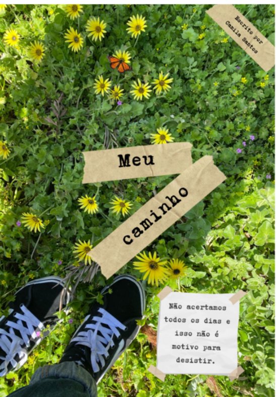 Meu Caminho - cover