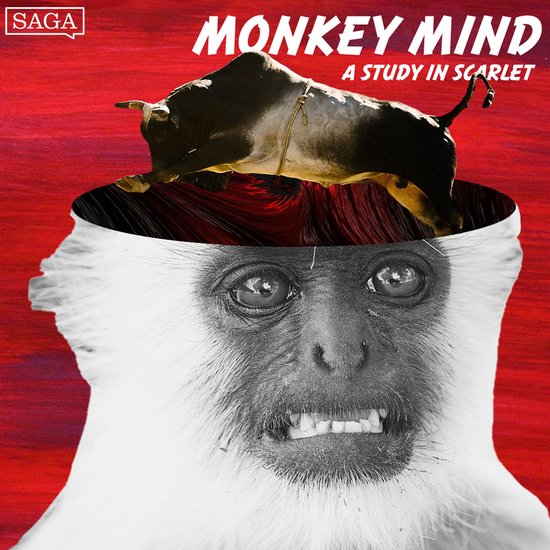 A Study in Scarlet - cover