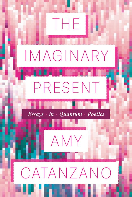 Boek kaft met de titel 'THE IMAGINARY PRESENT' in roze en witte letters op een roze en turkoois pixelland