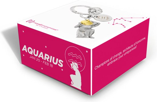 Metalmorphose - Porte-clés Zodiac - Verseau