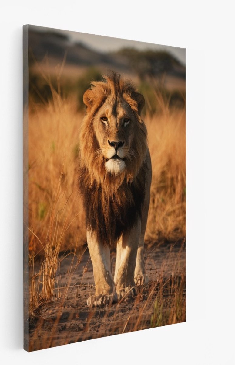 Saammp Canvas Schilderij - Leeuw in serengeti - Afrika - Dieren - 75x100 - Foto op canvas - Wanddecoratie - Muurdecoratie Woonkamer - Slaapkamer decoratie - Canvas Print Multicolor