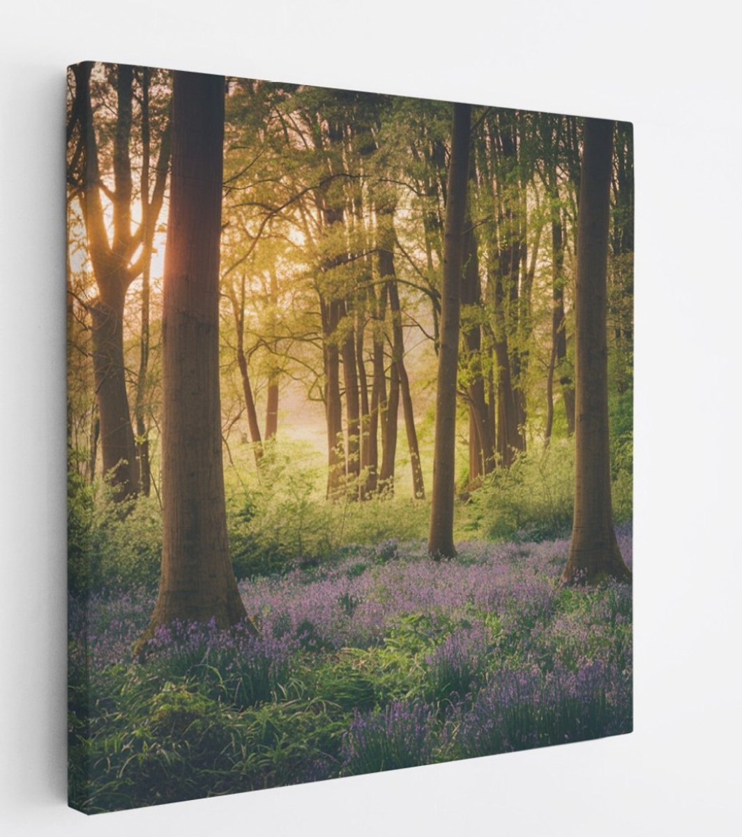 Saammp Canvas Schilderij - Bos met lavendel - Landschap - Natuur - 60x60 - Foto op canvas - Wanddecoratie - Muurdecoratie Woonkamer - Slaapkamer decoratie - Canvas Print Multicolor