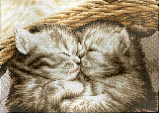 Deux chatons adorables au pelage gris et blanc dormant l'un contre l'autre dans un panier, avec des carrés de diamants visibles.