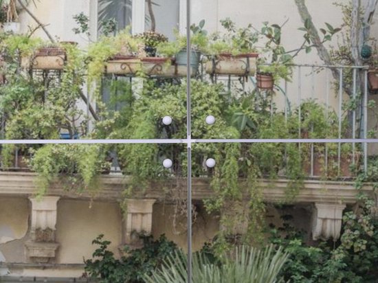 IXXI Scène de Rue Botanique - Décoration murale - Fleurs et Plantes - 100 x 140 cm