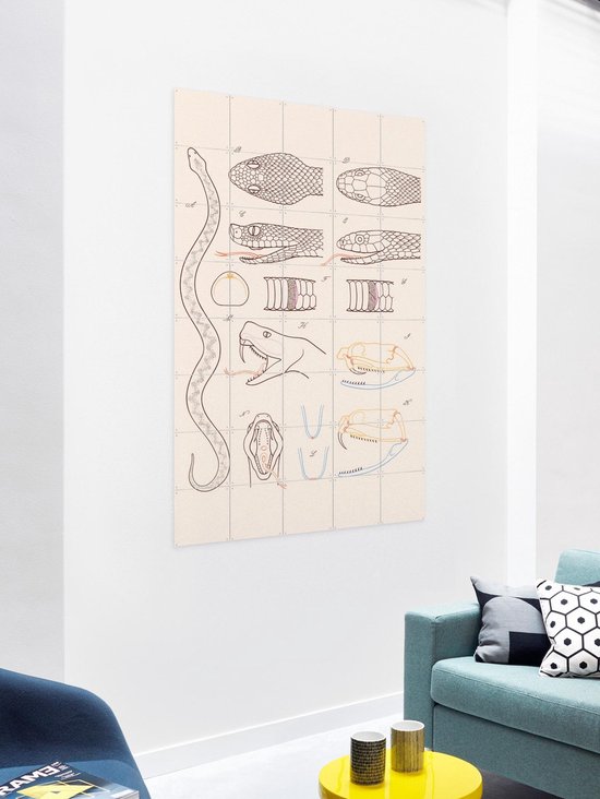 IXXI Serpent - Anatomie, Aster Edition - 100 x 140 cm - Gratis ophangtool - Grote wanddecoratie en posters - Technische Tekening, Illustraties, Line