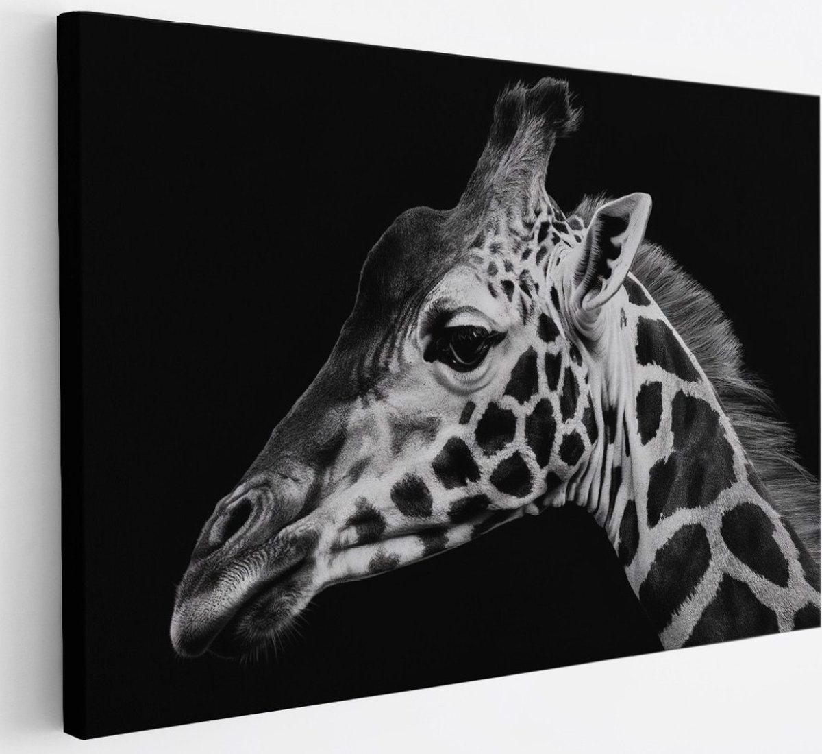 Saammp Canvas Schilderij - Giraffe - Natuur - Dieren - 30x20 - Foto op canvas - Wanddecoratie - Muurdecoratie Woonkamer - Slaapkamer decoratie - Canvas Print Multicolor