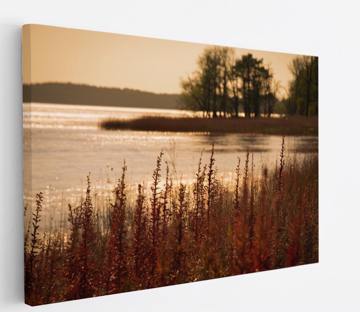 Saammp Canvas Schilderij - Water - botanisch - Landschap - Natuur - 90x60 - Foto op canvas - Wanddecoratie - Muurdecoratie Woonkamer - Slaapkamer decoratie - Canvas Print Multicolor