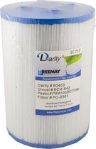 Darlly spa filter SC737 (6CH-942)