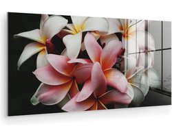 MuchoWow® Glasschilderij 120x60 cm - Schilderij acrylglas - Bloemen - Roze - Zwart - Flora - Botanisch - Foto op glas - Muurdecoratie woonkamer - Wanddecoratie slaapkamer - Schilderijen