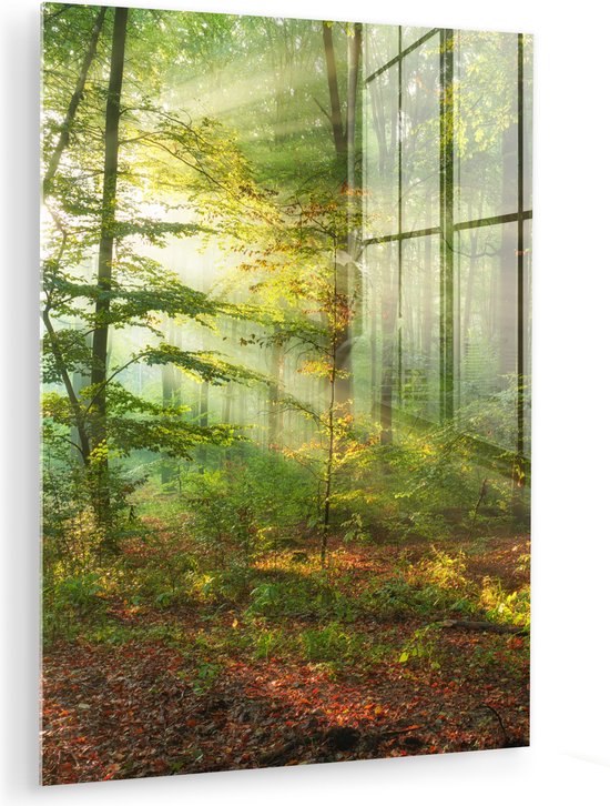 MuchoWow - Glasschilderij - Acrylglas - Zon - Bladeren - Boom - Foto op glas - Schilderij glas - 90x120 cm - Muurdecoratie glas - Glasschilderij binnen - Slaapkamer
