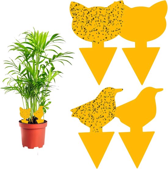 Vangkaarten voor insecten - Set 12 stuks