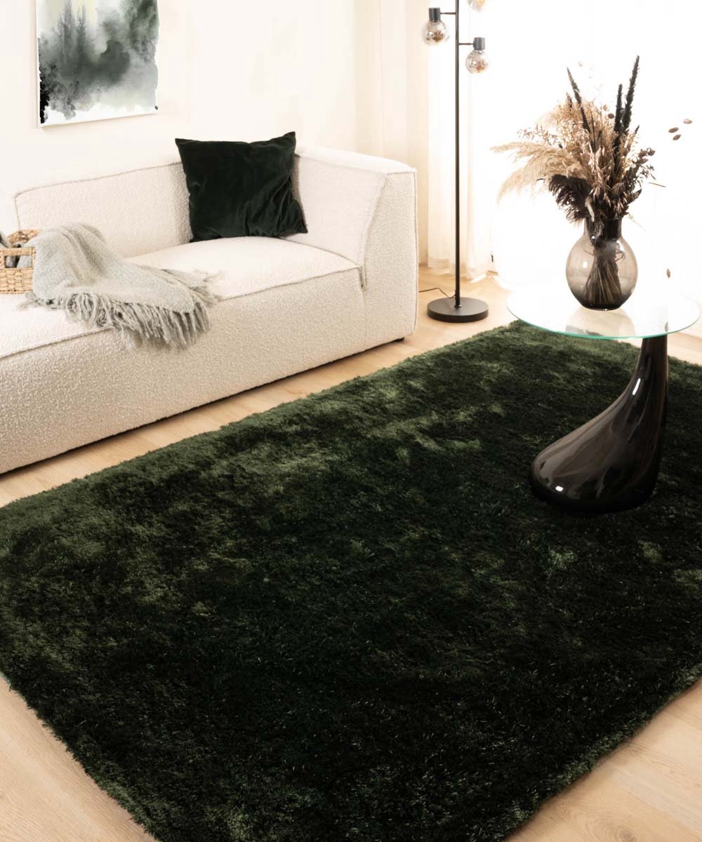 Tapeso Shaggy vloerkleed - Spark jade 240x340