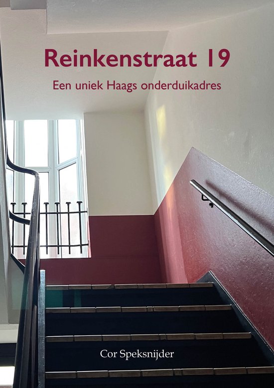 Boekomslag van Reinkenstraat 19