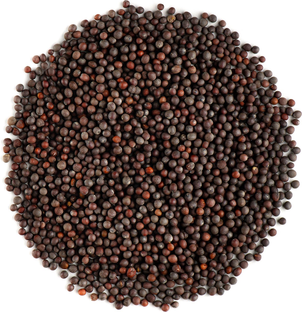 Goedkoopste Zwarte Mosterd Zaden Geheel Bio - Bruin Mosterd Zaad Kruidig Ingrediënt - Donker Mosterdzaad - Mosterdzaden