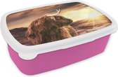 Broodtrommel Roze - Lunchbox - Brooddoos - Schotse hooglander - Zon - Horizon - Koe - Dieren - 18x12x6 cm - Kinderen - Meisje