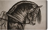 Schilderijkoning - Canvas Schilderij Geschetst Paard - 30 x 20 cm
