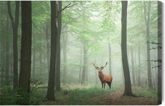 schilderijkoning-canvas-schilderij-herten-in-het-mistige-bos-30-x