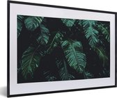 Fotolijst incl. Poster - Jungle - Palmboom - Bladeren - Tropisch - 60x40 cm - Posterlijst