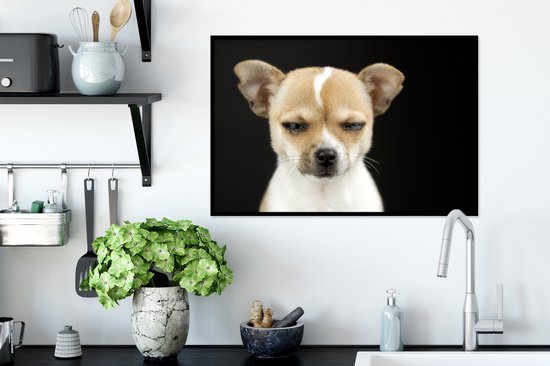 Photo encadrée - Chien hurlant sur fond noir cadre photo noir sans passe partout 60x40 cm - Affiche encadrée (Décoration murale salon / chambre)