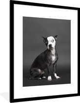Fotolijst incl. Poster - Hond - Vlek - Portret - 60x80 cm - Posterlijst