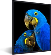 Fotolijst incl. Poster - Papegaai - Vogel - Veren - Blauw - 60x80 cm - Posterlijst