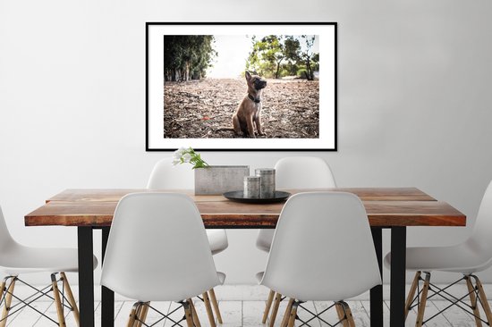 Fotolijst incl. Poster - Mechelse herder pup die omhoog kijkt - 90x60 cm - Posterlijst