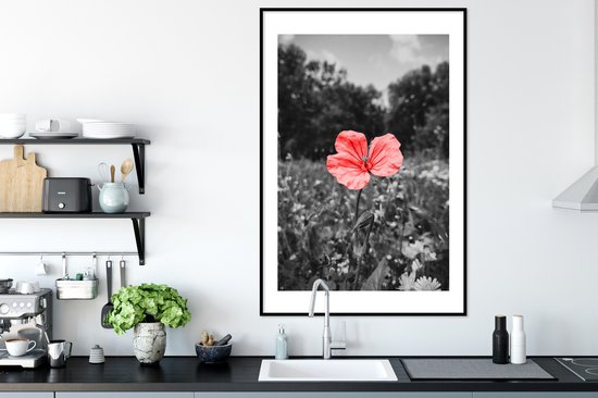 Cadre photo avec affiche - Fleurs - Rose - Zwart - Wit - 80x120 cm - Cadre pour affiche