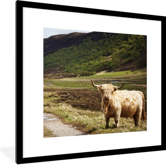 Fotolijst incl. Poster - Schotse Hooglander - Pad - Bos - 40x40 cm - Posterlijst