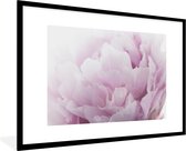 Photo encadrée - Gros plan d'un cadre photo pivoine rose noir avec passe-partout blanc grand 90x60 cm - Affiche encadrée (Décoration murale salon / chambre)