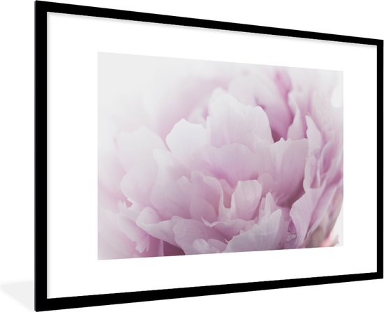 Photo encadrée - Gros plan d'un cadre photo pivoine rose noir avec passe-partout blanc grand 90x60 cm - Affiche encadrée (Décoration murale salon / chambre)