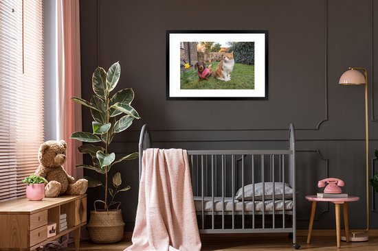 Affiche avec cadre Chien - Chat - Jardin - 90x60 cm