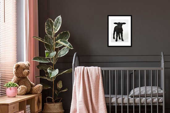 Photo en cadre - Bel agneau noir sur fond blanc Cadre photo noir avec passe-partout blanc petit 30x40 cm - Affiche sous cadre (Décoration murale salon / chambre)