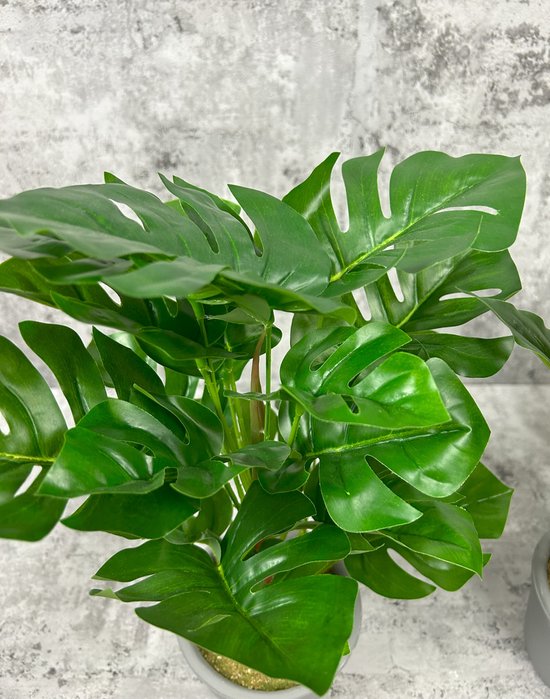 Monstera Deliciosa - kunstplant - inclusief pot - grijs - H 35 cm Ø 25 cm - Dromist