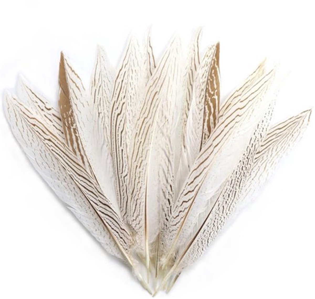 10pcs Natuurlijke Pheasantveren - 10-15cm - Voor Knutselprojecten en Decoraties