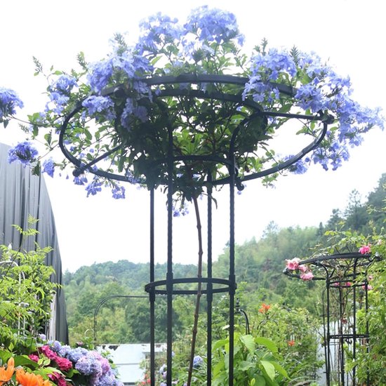 Klimplantsteun in een tuin, ondersteunt een plant met levendige blauwe bloemen aan de ronde bovenkant.