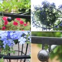 Close-up van de plantenboog met groene bladeren, rode bloemen en blauwe bloemen.