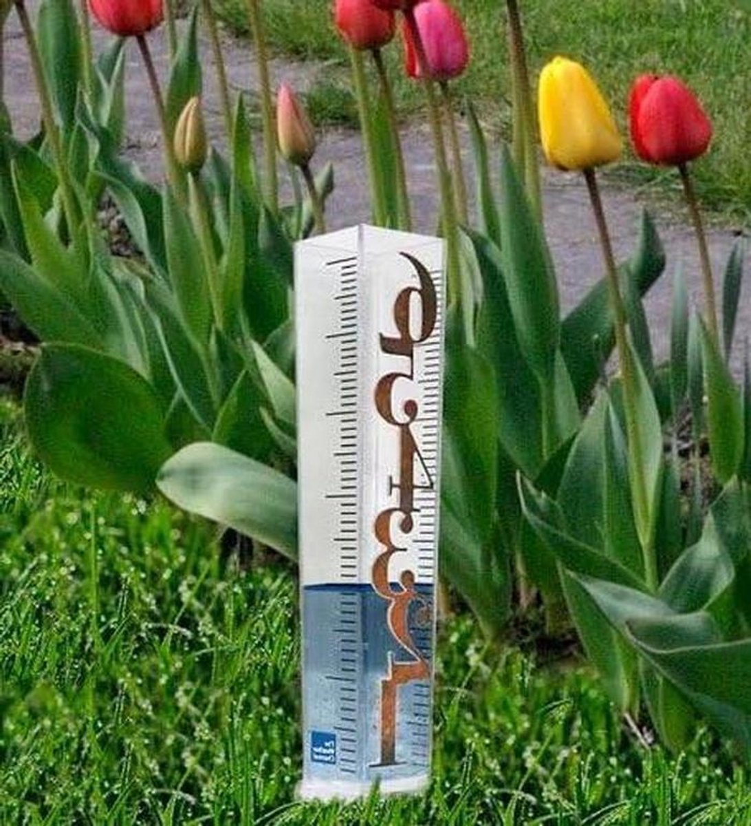The weather channel Patina rain gauge by La Crosse Technology