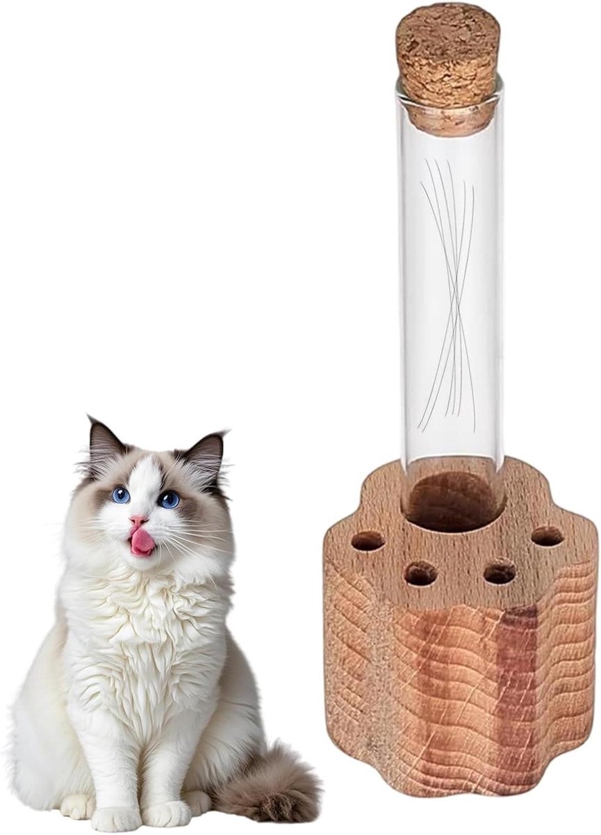 Bewaar Pot - Herinneringspotje - Decoratief Opbergen - Glazen Buis - 16 cm Hoog - Transpar