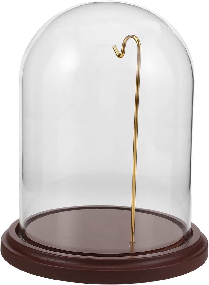 Vitrinekast met haak - Glazen stolp - Verzamelobjecten tonen - Stabiele houten voet - 16 x 10 cm - Transparant