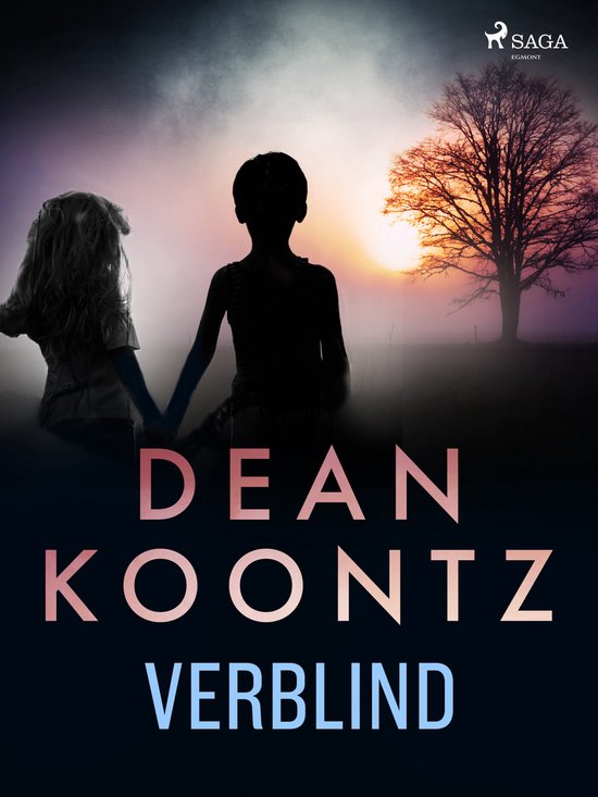 Verblind - cover