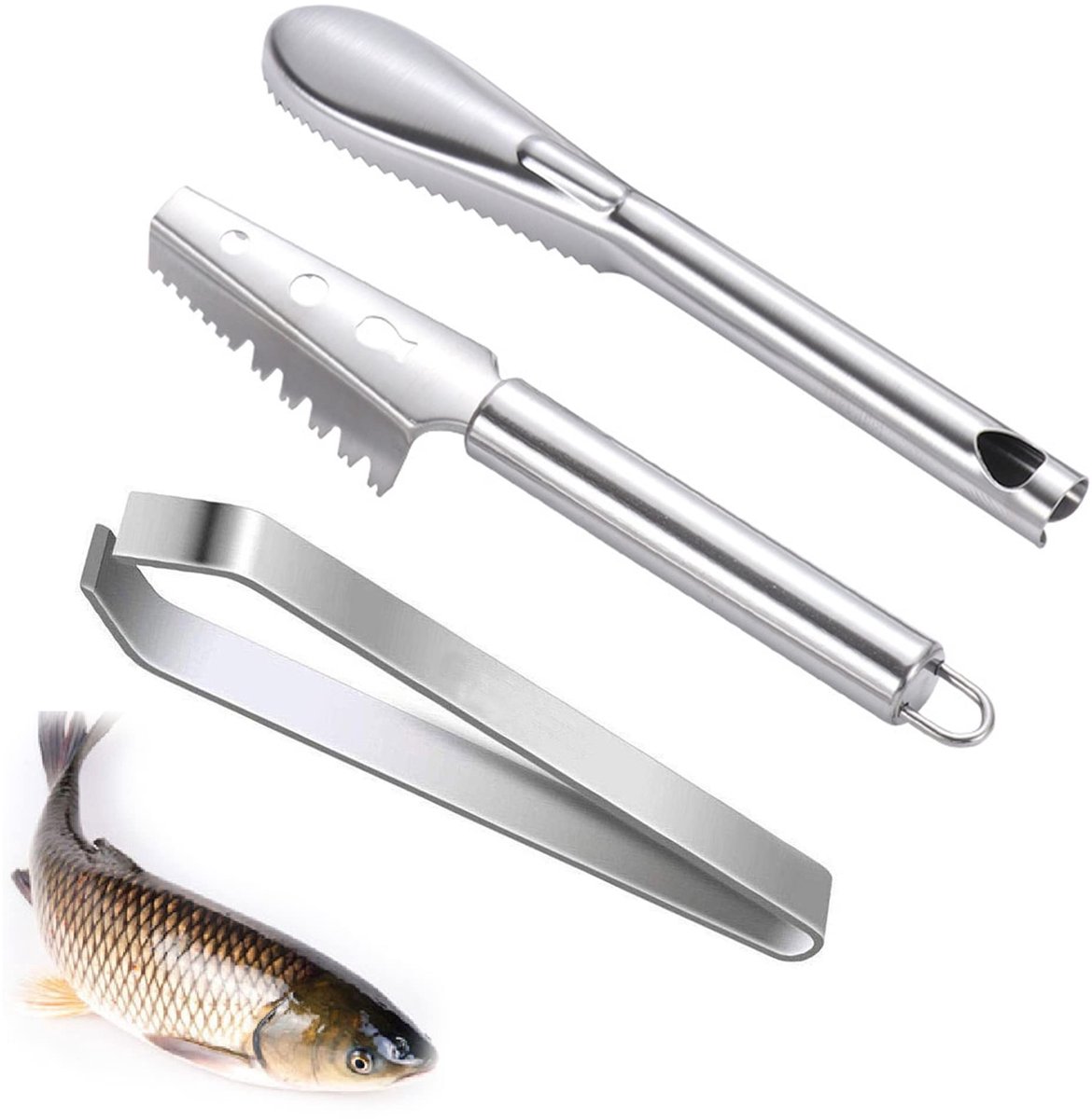 Dailygoods - Dailygoody - Vis Schaal Schraper - Professionele Vis Scaler - Roestvrij Staal - Non-Slip Vis Borstel - Keuken Gadgets - Vis Schoonmaken - Geschikt voo