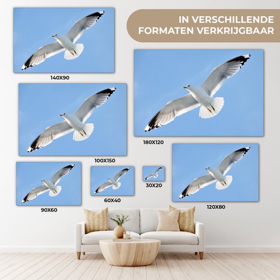 Gros plan d'une mouette en vol Toile 120x80 cm - Tirage photo sur toile (Décoration murale salon / chambre)