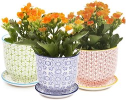 Keramische plantenpotten - Bloempotten set - Planten decoreren - Met afvoergat - Set van 3 - Multi-kleur