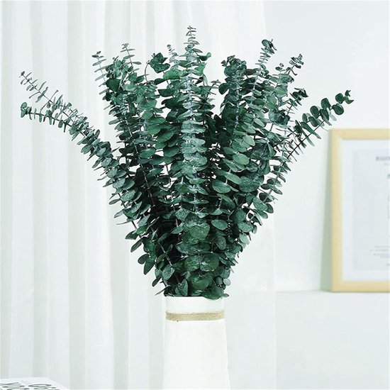 Grote bos donkergroene eucalyptus takken in een witte vaas met touw.